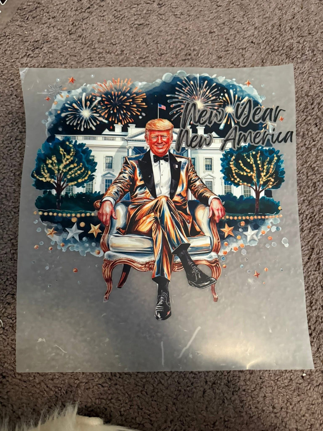 New Year (Trump)
