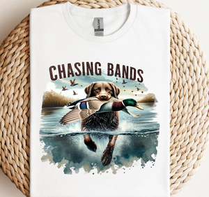 Chasing Bands