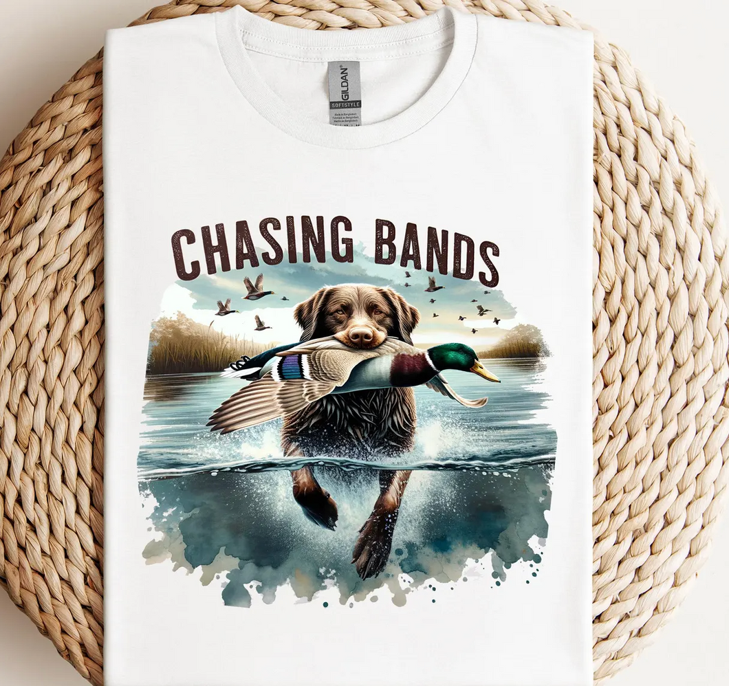 Chasing Bands