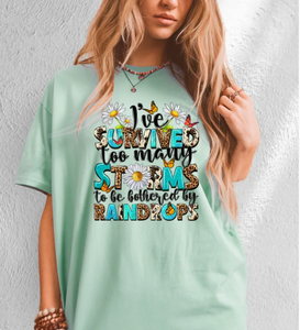 I've Survived Too Many Storms Shirt